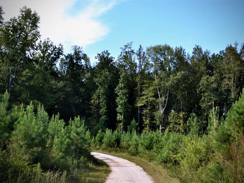 Pine Plantations, Hardwood Bottom, Farm for Sale in South Carolina