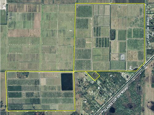 1,032 Acres Agricultural Land : Port St Lucie : Saint Lucie County : Florida