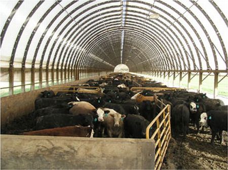 Lg Indoor Cattle Feeding Facility : South Charleston : Clark County : Ohio