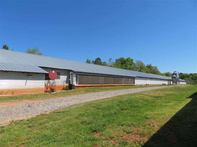 Poultry Farm in Alexander County : Taylorsville : Alexander County : North Carolina