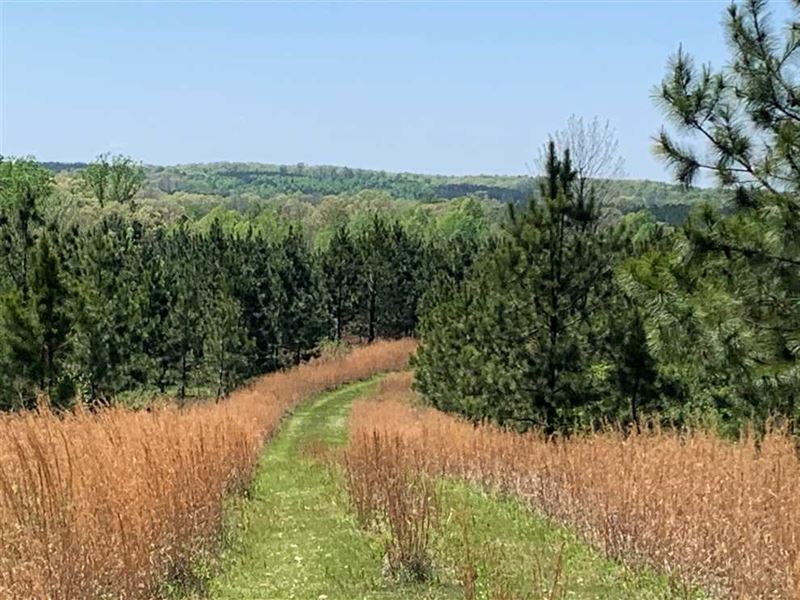 Beautiful Views, Excellent Huntin : Dover : Stewart County : Tennessee