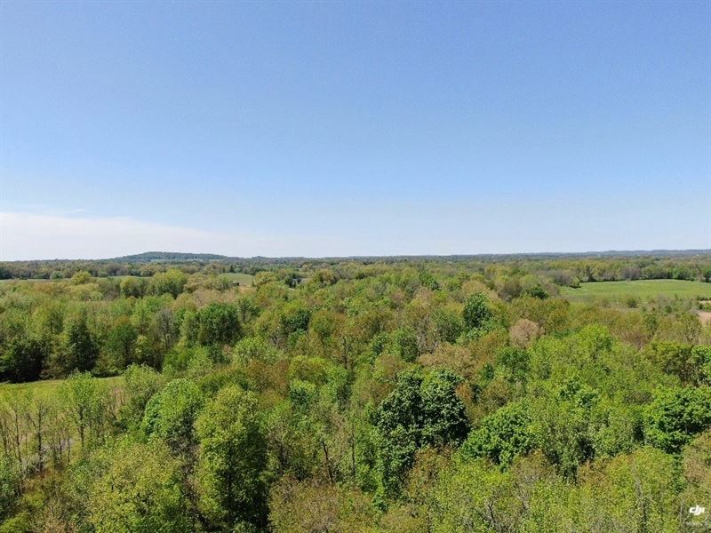 Farm Glasgow Ky, 139 Acres Two, Farm for Sale in Kentucky, 239066