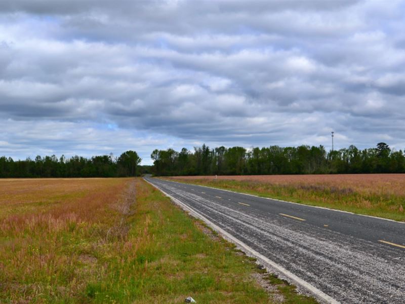 Lee County SC Acreage, Farm for Sale in South Carolina, 239094 FARMFLIP