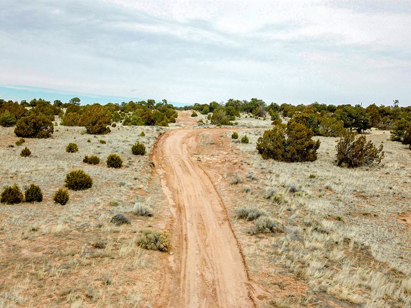 Lot, Road Frontage Near Blm Land, Farm for Sale by Owner in New Mexico, 239106 FARMFLIP