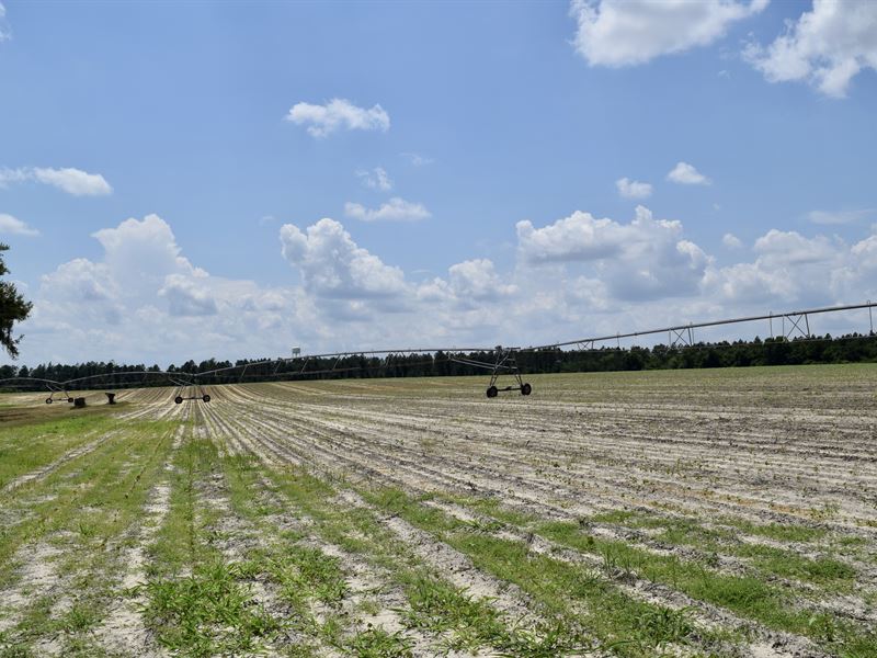 Irrigated Farm Land, Farm for Sale in 239122 FARMFLIP