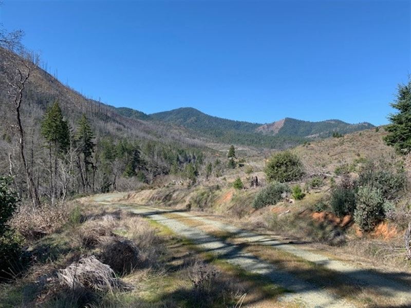 40 Acres in Glendale, OR : Glendale : Douglas County : Oregon