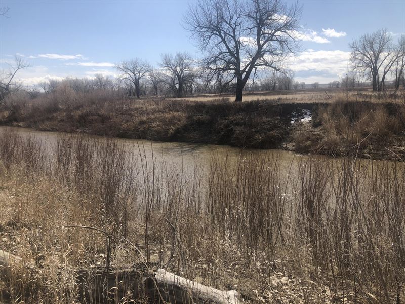 Milk River 206, Farm for Sale in Montana, 239356 FARMFLIP