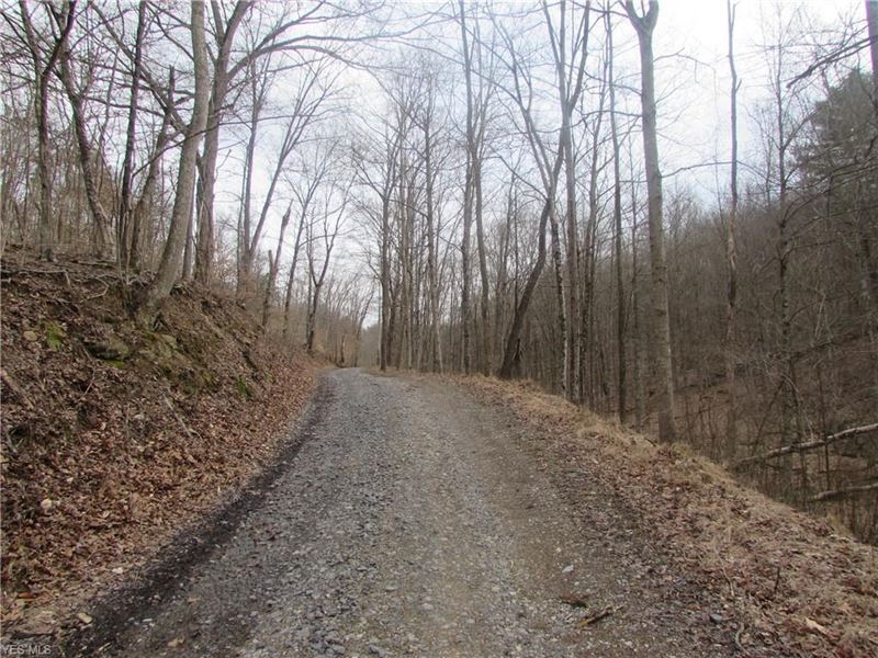 70 Acres Wooded Hunting Land in WV, Farm for Sale in West Virginia