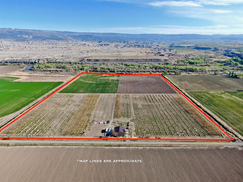 Delta Colorado Hops Row Crop Farm : Delta : Delta County : Colorado