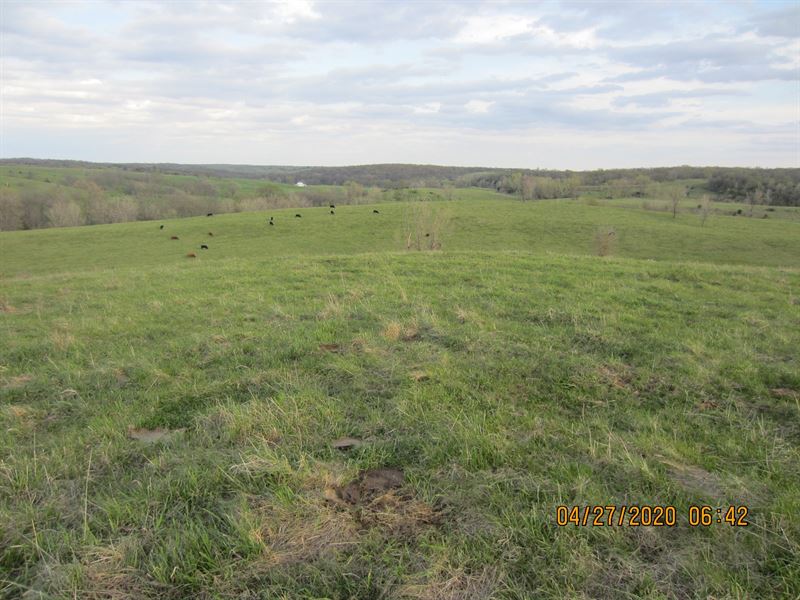 120 Acres M/L Land Unionville, MO, Farm for Sale in Missouri, 239559