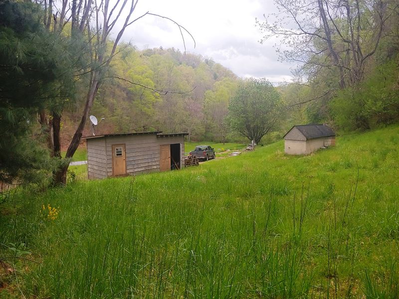 Secluded Home Site Shawsville VA, Farm for Sale in Virginia, 239567 FARMFLIP