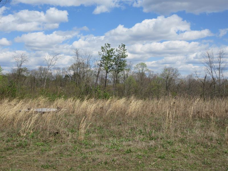 Gallia County Ohio Hunting Acreage, Farm for Sale in Ohio, 239579