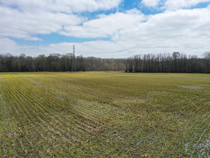 Unrestricted Acreage, Farm for Sale in Tennessee, 239597 FARMFLIP