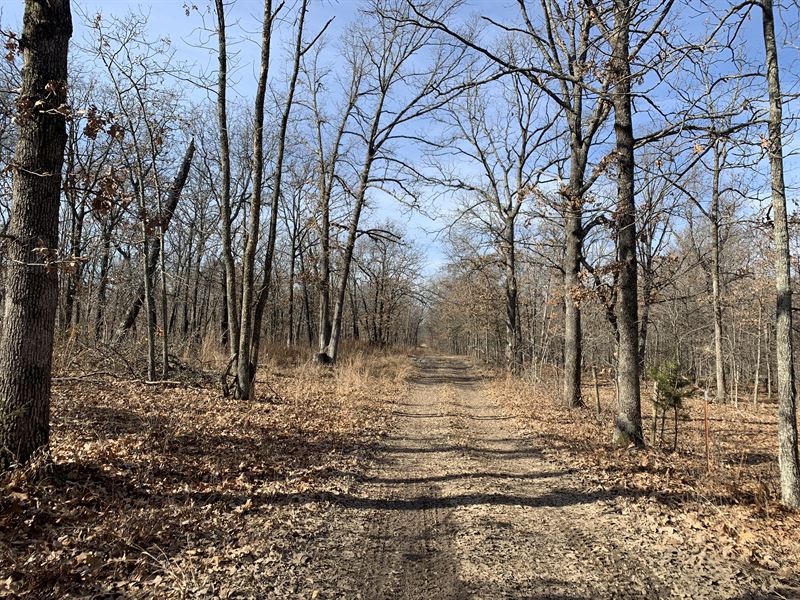 122 Acres Camden County Missouri Farm for Sale in Climax Springs