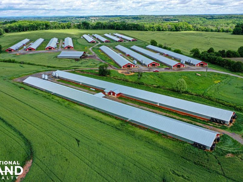 Lincoln County Poultry Farm : Lincolnton : Lincoln County : North Carolina