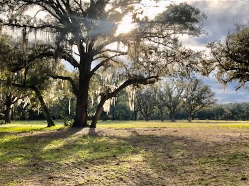 5 Acres in Gilchrist County, FL : Bell : Gilchrist County : Florida