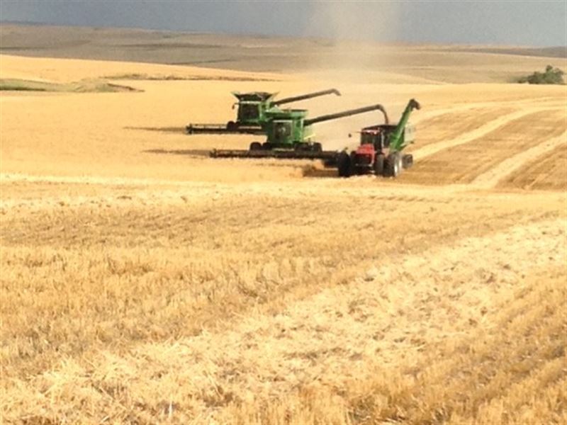 Meade County SD Farm Land/Hunting, Farm for Sale in South Dakota