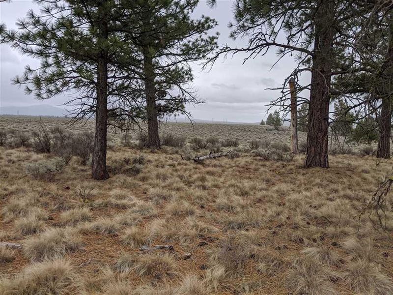 Yellow Pine Rd, Bly, OR Recreatio, Farm for Sale in Oregon, 239790