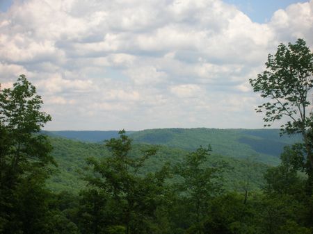 Campbell Road - Lot 20 : Lynchburg : Franklin County : Tennessee