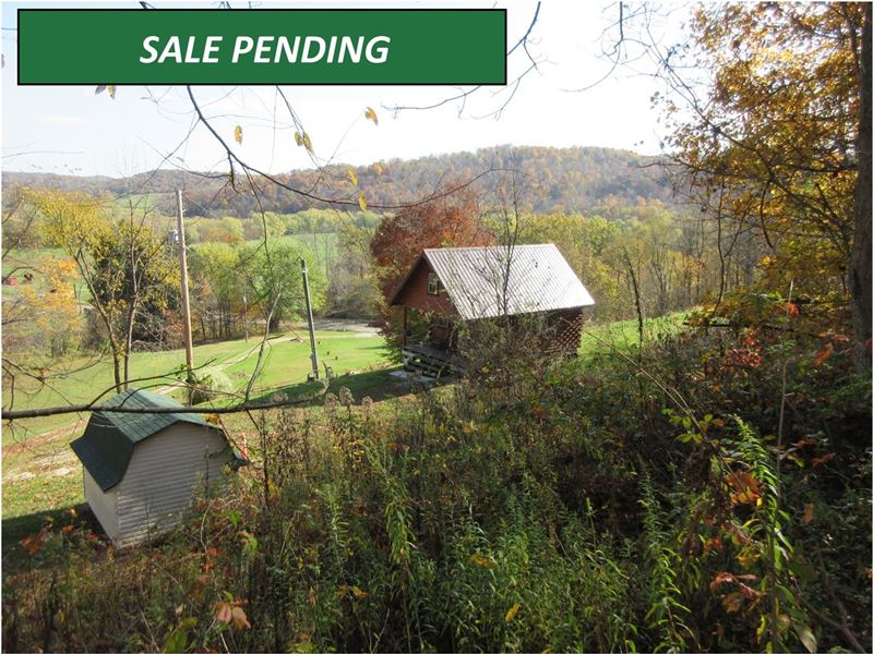 Amish Built Cabin Views, Online, Farm Auction in Ohio, 240306 FARMFLIP