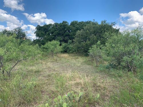15 Acres with Exotics : Menard : Texas