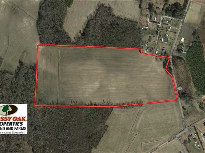 50 Acres of Farm, Farm for Sale in North Carolina, 240385 FARMFLIP