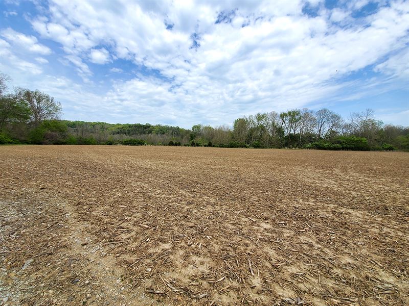 foreclosed homes for sale clermont county ohio