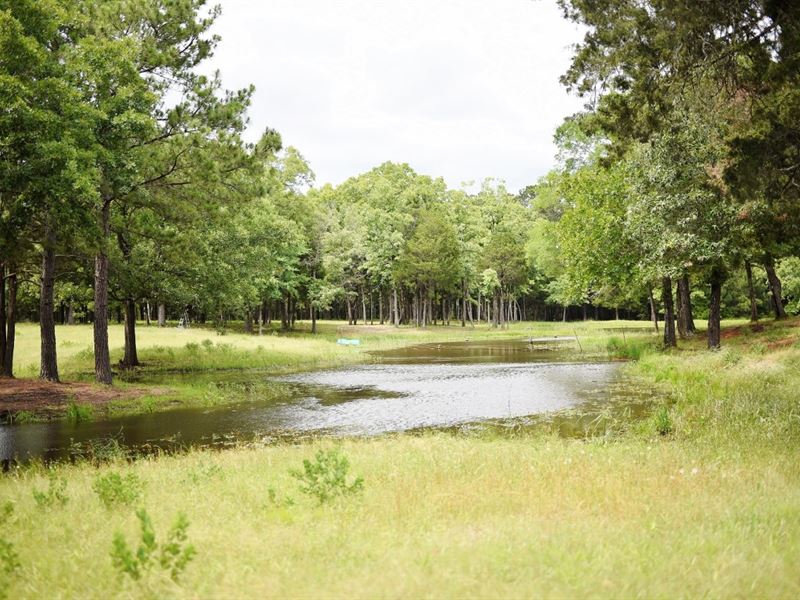 Land for Sale in Leon County, Texas : Centerville : Leon County : Texas
