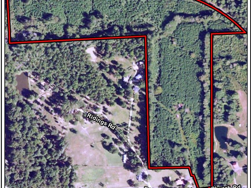 Bethlehem Church Road, Farm for Sale in 240617 FARMFLIP