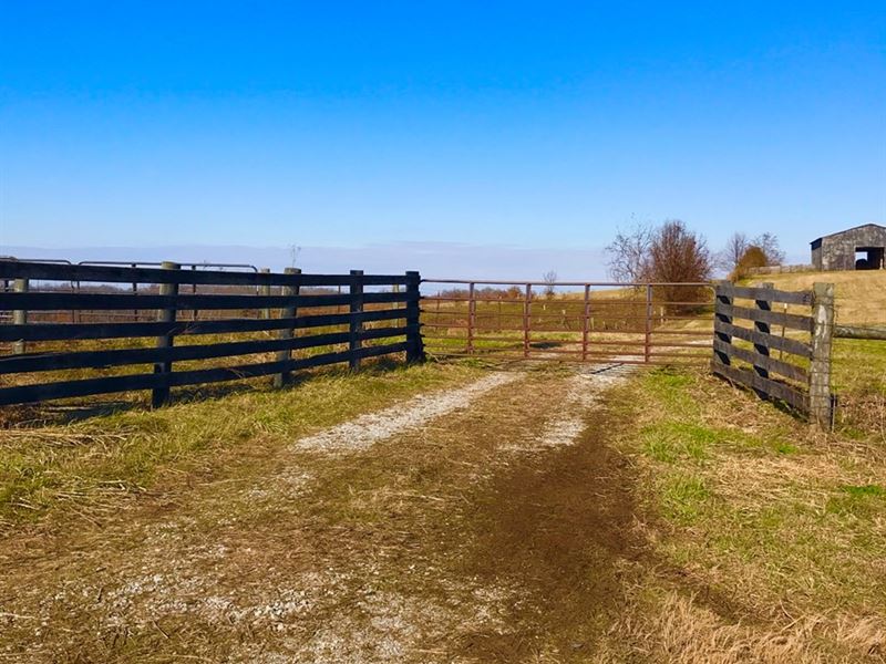 KY Cattle or Hunting Farm, Farm for Sale in Kentucky, 240711 FARMFLIP