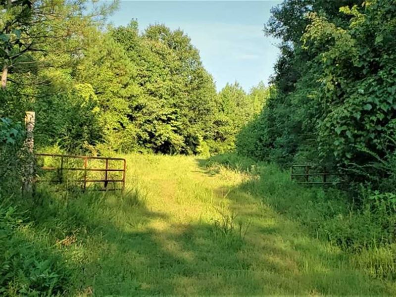 137 Acres Rolling Hills, Gated, Farm for Sale in Tennessee, 240910
