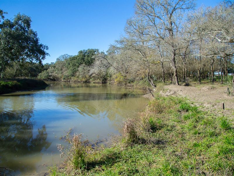 Austin Bayou Ranch : Danbury : Brazoria County : Texas