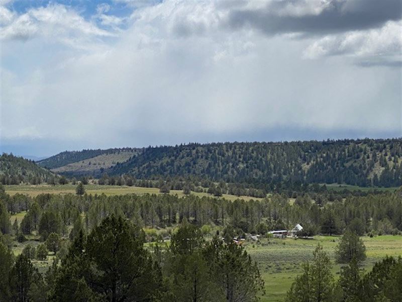 Alta Vista, Alturas, Ca, 20 Acres Farm for Sale in Alturas, Modoc