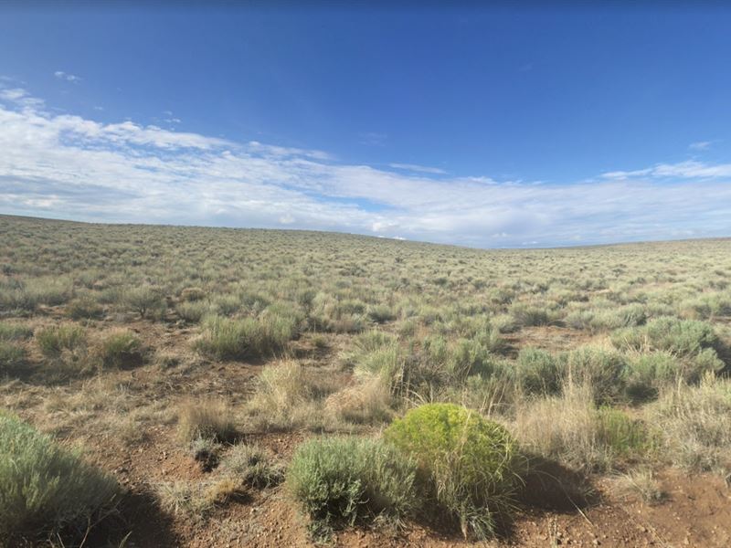 5 Acre Rgr, Costilla, CO : San Luis : Costilla County : Colorado