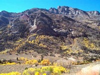 163 Acres in Cowboy Farm Country : Winnemucca : Humboldt County : Nevada