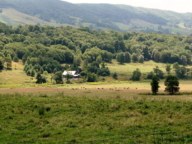 90 Acres Sell Blue Grass Valley, Farm for Sale in Virginia, 241461