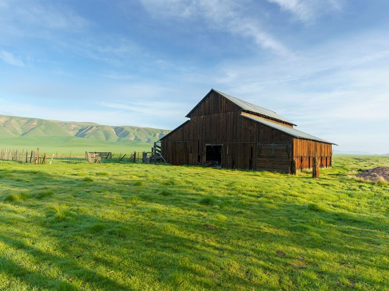 O Hopper Ranch : Shandon : San Luis Obispo County : California