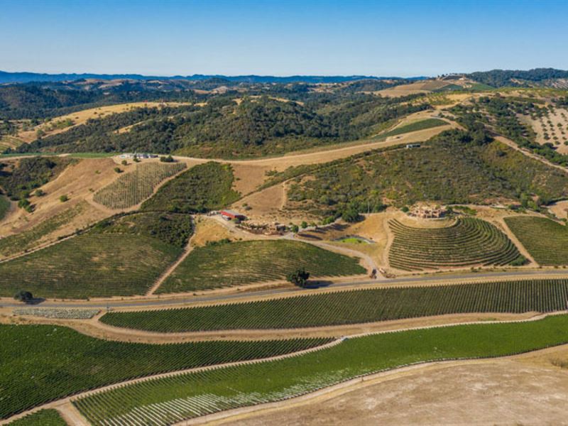 Iconic Adelaide Winery Estate, Farm for Sale in California, 241501