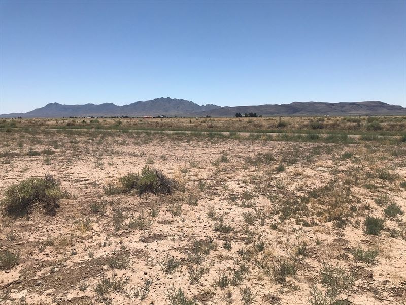 Land for Sale in Deming NM, Farm for Sale in New Mexico, 241589 FARMFLIP