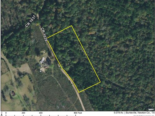 5 Acres CR 1039 : Burkeville : Newton County : Texas