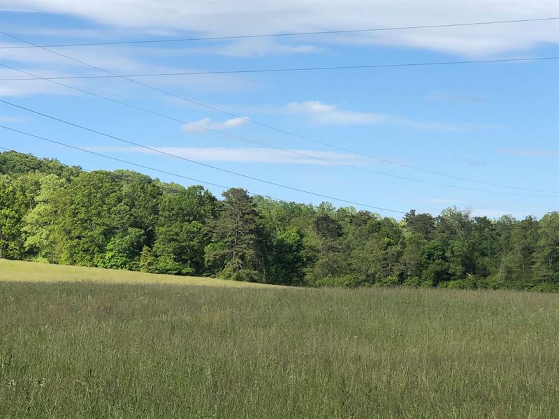5.92 Acres Unrestricted Land East : Whitesburg : Hawkins County : Tennessee