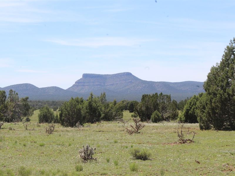 Mountain Land Owner Financing : Seligman : Yavapai County : Arizona