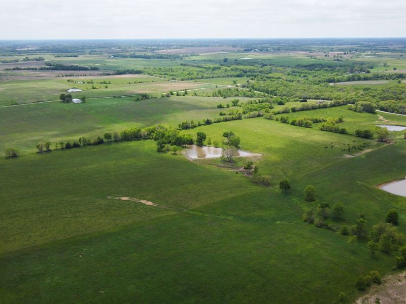 Missouri Cattle Ranch Country Homes, Farm for Sale in Missouri, 241809