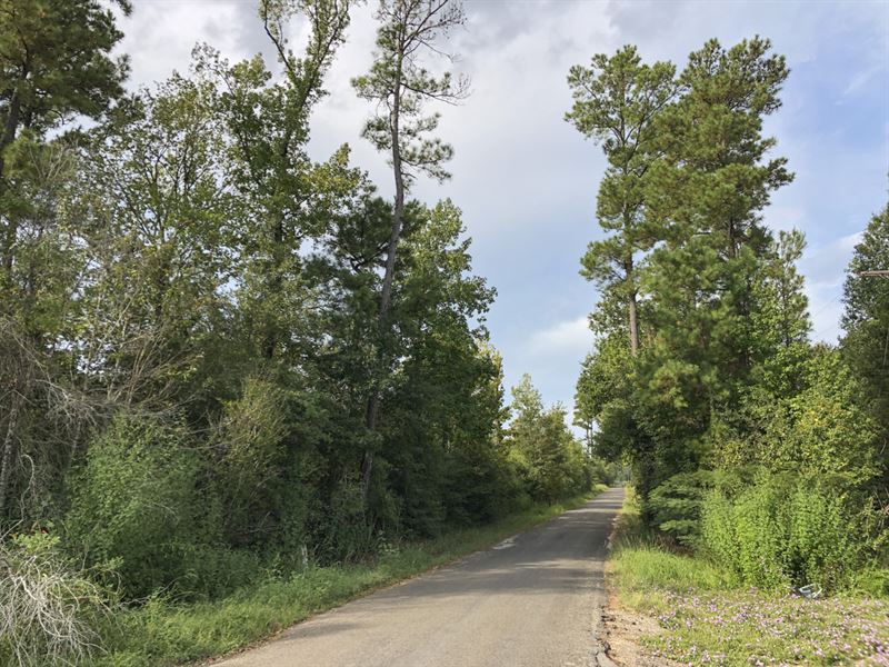 19.54 Acres Milvid Road Tract 3008 : Cleveland : Liberty County : Texas