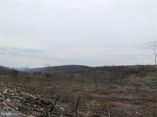 Undeveloped Land : Cumberland : Allegany County : Maryland