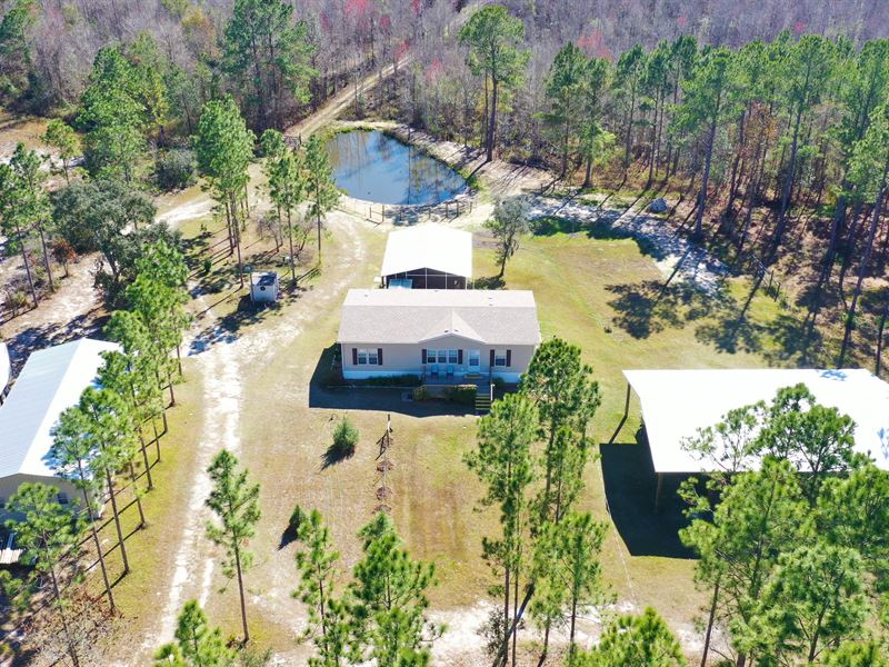 Beautiful Homestead on 113 Acres Farm for Sale in Old Town, Dixie