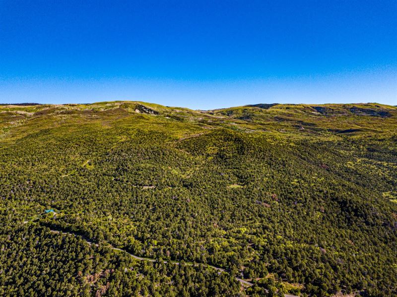 Mountain Land in Western Colorado : Cedaredge : Delta County : Colorado