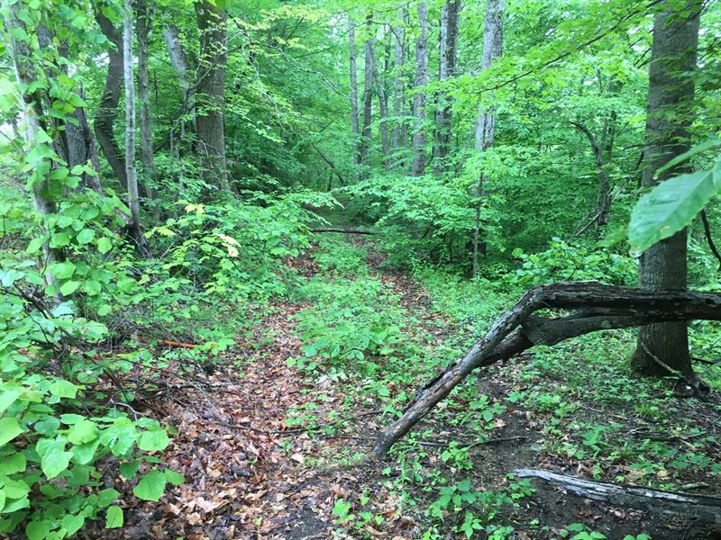 Land for Sale in Franklin County VA : Ferrum : Franklin County : Virginia