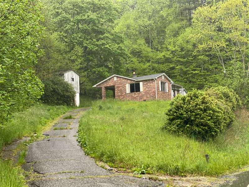 Single Family Home on 14 Acres, Farm Auction in North Carolina, 242397