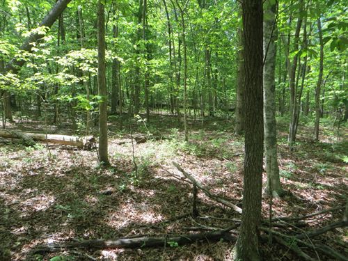 Level, Beautiful Area, Wooded : Clarkrange : Fentress County : Tennessee